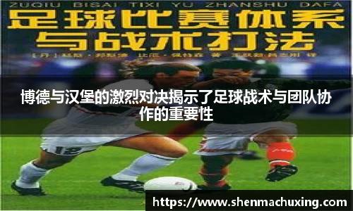 完美体育注册登录